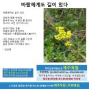 옥림 이미지