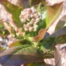 제주누리 이미지