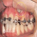 연세반트치과교정과치과의원 이미지