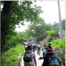 배순정려비 이미지