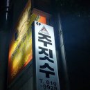 코리아 유도 체육관 | 서대전 자랑! 주짓수 본사이코리아 방문 후기!
