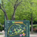환호농장 | 경북 포항 여행지 : 놀이터와 동물원이 있는 가족 나들이 코스 [환호공원]