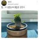 미정국수0410광명사거리역점 이미지