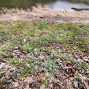 의령골프연습장 이미지