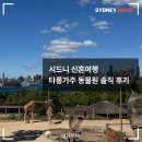 가야(주) | 시드니 타롱가주 동물원 후기 | 하버뷰가 미쳤다...꼭 가야 할 이유 총정리