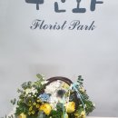 수선화플로리스트파크 네이버블로그