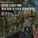 정글비즈
