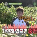 진우돈