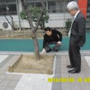 행당초등학교 이미지