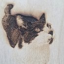 나루 동물병원 | 남양주 나루동물병원 항문낭염 진료 후기🐾