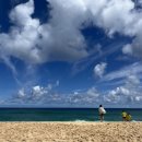 파이프 호스텔 | 하와이 뚜벅이 여행: 노스쇼어 투어 - 호누 호스텔