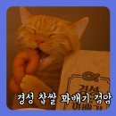 경성꽈배기(검암점)