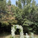 열린농장 | 포항 야외예식 추천｜프라이빗한 분위기 속에서 더 빛났던 비손농장 야외결혼식 후기