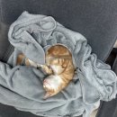 지민32 | 내게1월1일은없다고32일이라고