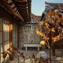 산책하다 | 북촌 산책하다 들어간 블루보틀 삼청 카페 솔직 후기