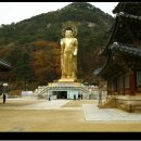 속리산 법주사 이미지