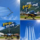 이글스 | 2026 스페이스 챌린지 서울 성남 | 블랙이글스 에어쇼 직관 후기