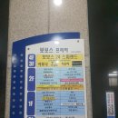 보보스랜드 이미지