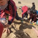 동영유치원 이미지