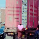 강화평화빌리지 이미지