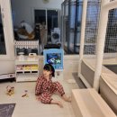 오복지 펜션 이미지