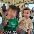 엄마깁밥 | [D+429] 2026년 고성 상리반딧불이축제 14개월 아기와 다녀온 후기(최고!!)
