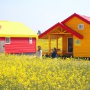 망상오토캠핑리조트 이미지