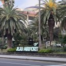 (유)제주공항렌트카 이미지