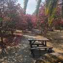 만천장여관 | 신혼부부! 2월 중반 2박3일 제주도 여행을 다녀오다 (feat. 한림 씹뜯맛즐)