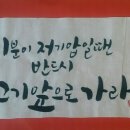 고기영역 이미지