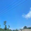 더예쁜소길초가 이미지