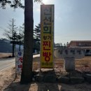 평창 오대산 월정사 먹거리 감로다원 찻집, 신선희황기찐빵 간식 추천