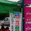 하빈농업협동조합동곡지점 이미지