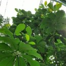 영지농장 이미지