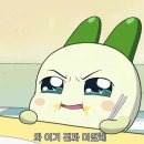 퓨전떡디저트 이미지