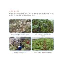 윤이농원