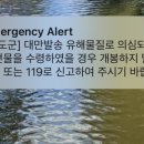 커피쿡 태양점 이미지