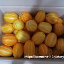 이고농산 | 호돌이농산 랜덤과 참외 맛있네요~~~