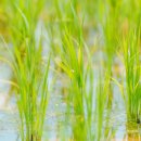 명장한우 이미지