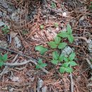 수리봉농장 이미지