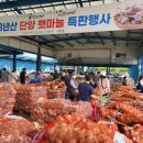 단양농협하나로마트 이미지