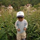 똘똘이 목장 이미지