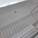 마동스위트벨리 이미지