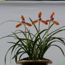 날마다좋은날 이미지