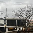 남해 베이커리 카페 추천 | 은모래해변 마을빵집 동동