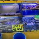 광어1마리 18000 이미지