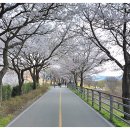 양평체육공원길 이미지