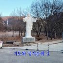 제16코스 수원 청주 성지순례 길 이미지