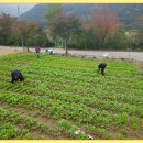 제28차 정기총회및 쉼터회관 완공기념식(16년10월30일) 개요 이미지