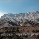 명품소나무길 이미지